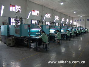 模具 東莞市鳳崗思創塑膠制品廠